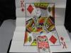 Magician's Insurance Policy- India (image for) Magician's Insurance Policy- India