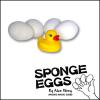 Sponge Eggs (image for) Sponge Eggs